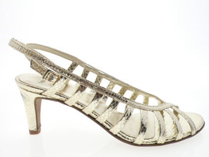 nimal - Nu pied JERRY - PYTHON OR