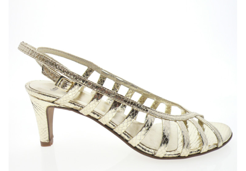 nimal - Nu pied JERRY - PYTHON OR