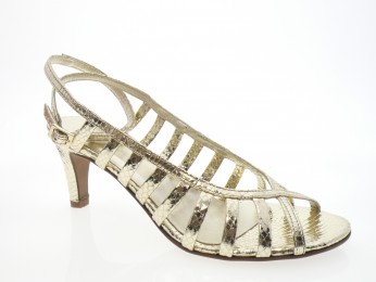 nimal - Nu pied JERRY - PYTHON OR