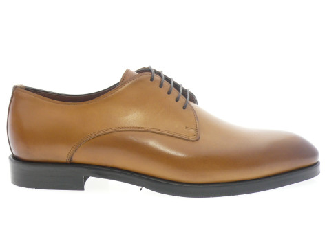 flecs - Derby F 310 - CAMEL