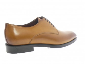 flecs - Derby F 310 - CAMEL