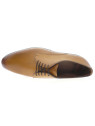 flecs - Derby F 310 - CAMEL