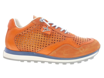cetti - Sport C 848 EXP - ORANGE