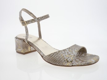 nimal - Nu pied LEMA - PYTHON OR