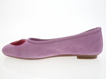 Reqins - Bateau HOLOVE - DAIM ROSE