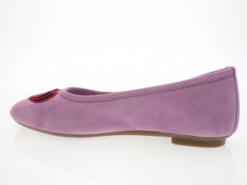 Reqins - Bateau HOLOVE - DAIM ROSE