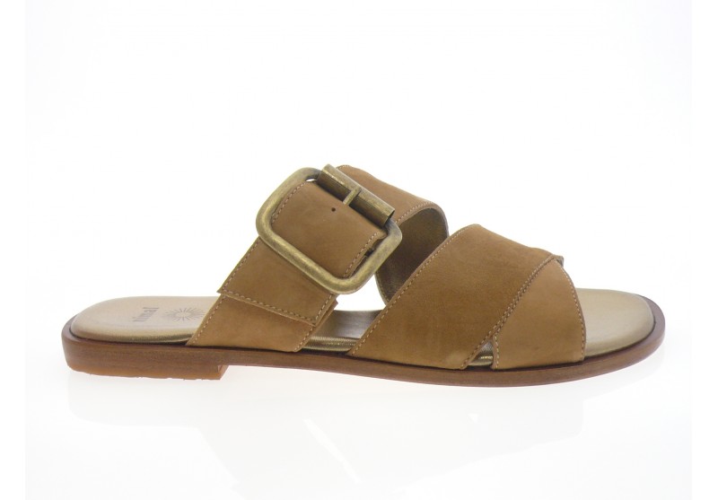 nimal - Mule PATRAS - DAIM CAMEL