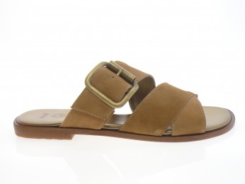 nimal - Mule PATRAS - DAIM CAMEL