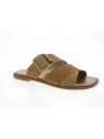 nimal - Mule PATRAS - DAIM CAMEL