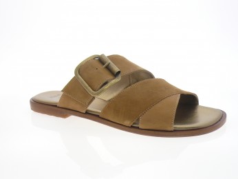 nimal - Mule PATRAS - DAIM CAMEL