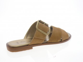 nimal - Mule PATRAS - DAIM CAMEL