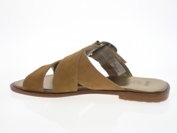 nimal - Mule PATRAS - DAIM CAMEL