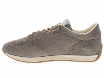 cetti - Sport C 1381 - DAIM TAUPE