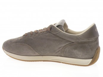 cetti - Sport C 1381 - DAIM TAUPE