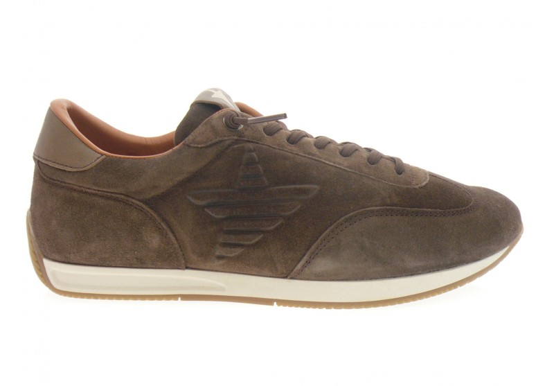 cetti - Sport C 1381 - DAIM MARRON