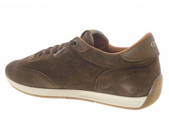 cetti - Sport C 1381 - DAIM MARRON