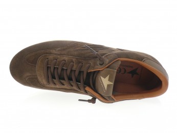 cetti - Sport C 1381 - DAIM MARRON