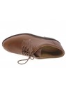 gatine - Derby OXFORD - MARRON